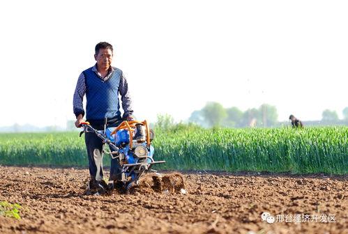 沙河农民爆料最新,揭秘农村发展新动向 第2张 沙河农民爆料最新,揭秘农村发展新动向 第2张